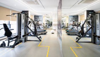 Gymnasium 